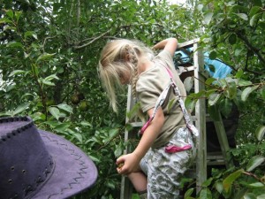 IMG_2166 (Small)